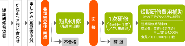 短期研修について